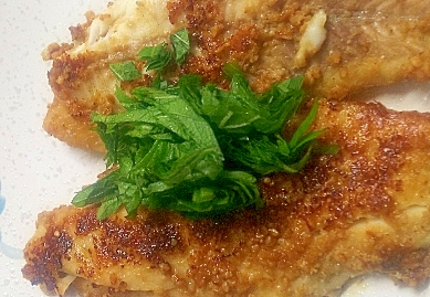 K48kigfarpybgm