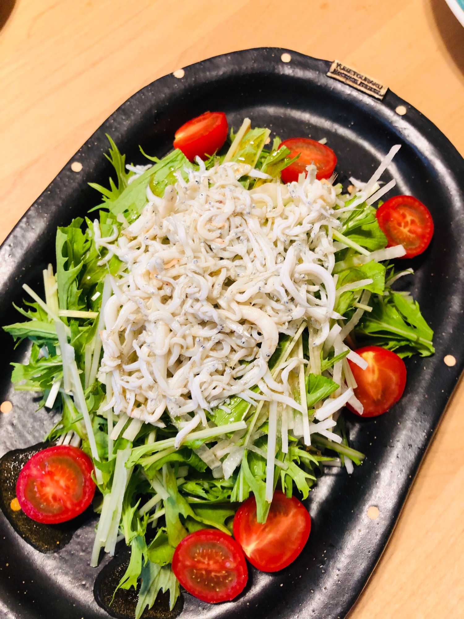 水菜と大根のしらすサラダ レシピ 作り方 By Yana 楽天レシピ 水菜と大根のしらすサラダ レシピ 作り方 By Yana 楽天レシピ