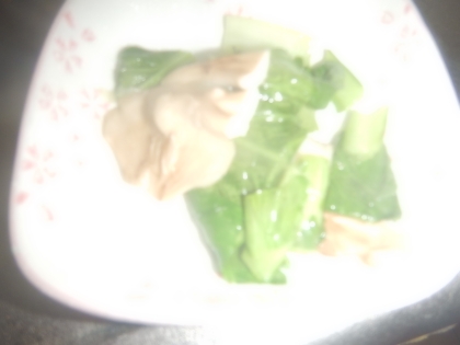 小松菜と舞茸のオイスターソース炒め