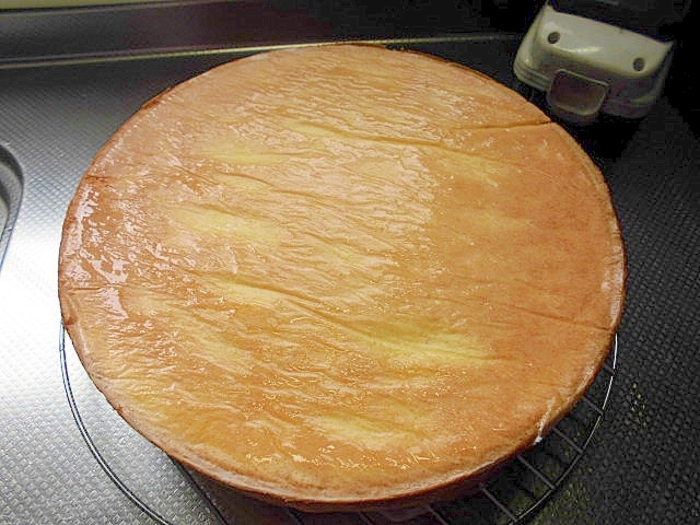 ふわふわ21cmのスポンジ