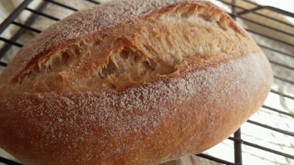 自家製酵母ストレート法でフランスパン（クッペ）