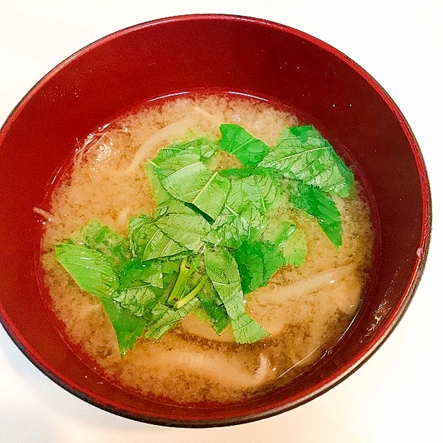 とろとろ仕上げ♪椎茸とモロヘイヤともやしの味噌汁