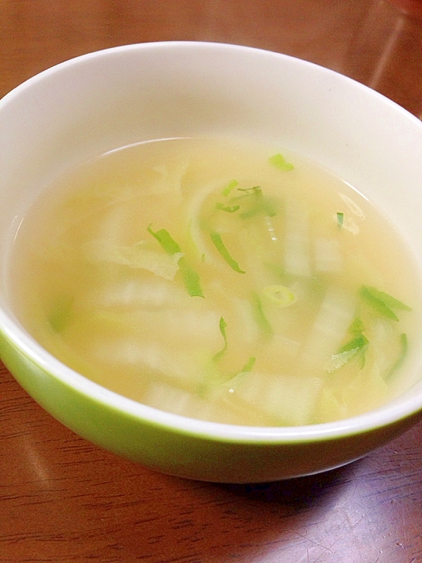 白菜と玉ねぎのコンソメスープ