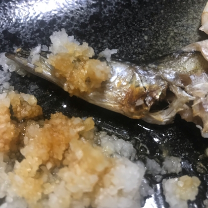 お酒とみりんで身はふっくら♥「カマスの塩焼き」