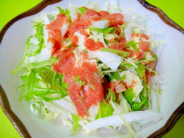 白菜と水菜のサラダ☆明太子ソース