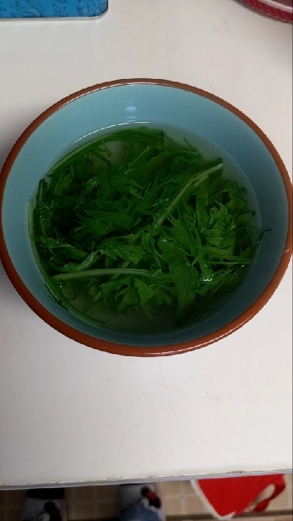 水菜のスープ