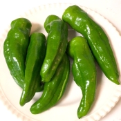 シンプルが1番 ししとう焼き レシピ 作り方 By ゆきのえ 楽天レシピ