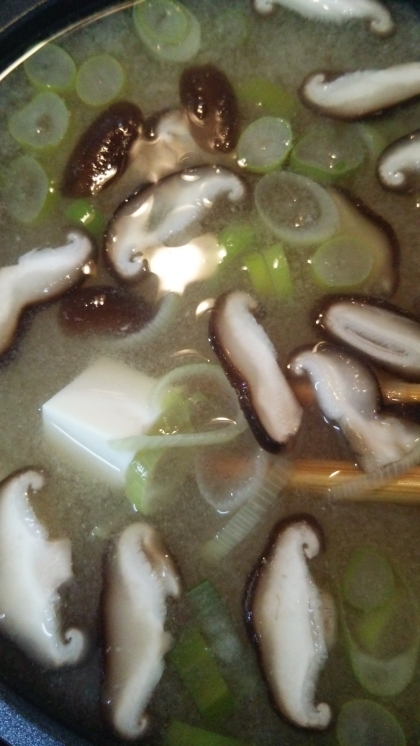 豆腐と椎茸のお味噌汁