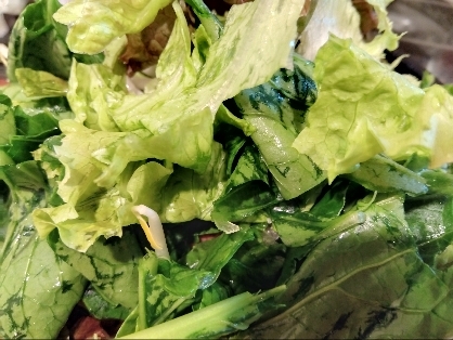 レタスde簡単イタリアン風サラダ