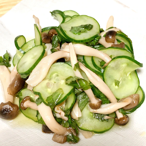 Yz 1cg9q4nkq9m Yz 1cg9q4nkq9m