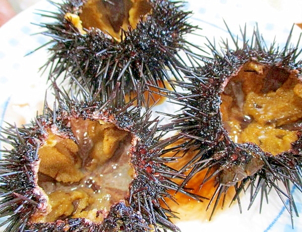 これであなたも 寿司屋さん ウニの簡単からむき レシピ 作り方 By サクラノカタライ 楽天レシピ これであなたも 寿司屋さん ウニの簡単からむき レシピ 作り方 By サクラノカタライ 楽天レシピ