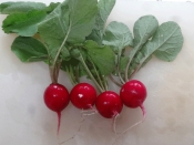 昆布茶で旨味 ラディッシュの浅漬け レシピ 作り方 By Startrek 楽天レシピ 昆布茶で旨味 ラディッシュの浅漬け レシピ 作り方 By Startrek 楽天レシピ