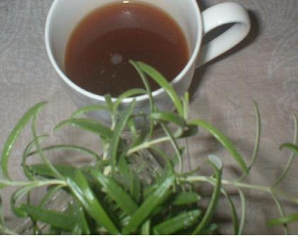 honuさん　おはようございます。
黒糖とメープルシロップであま～いお茶をいただきました♪
ほっと一息するのは大切なことですね！ごちそうさま。