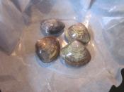 汁もれなし 焼きハマグリ の新しい提案 レシピ 作り方 By Startrek 楽天レシピ 汁もれなし 焼きハマグリ の新しい提案 レシピ 作り方 By Startrek 楽天レシピ