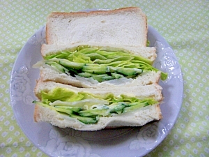 野菜たっぷりサンド