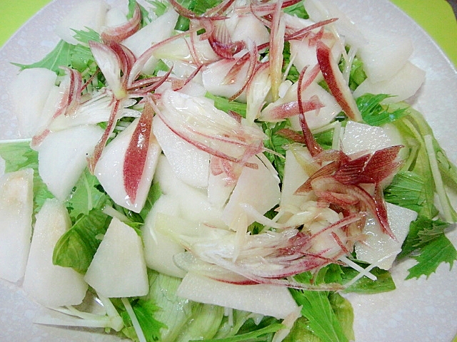 梨とミョウガレタス水菜のサラダ