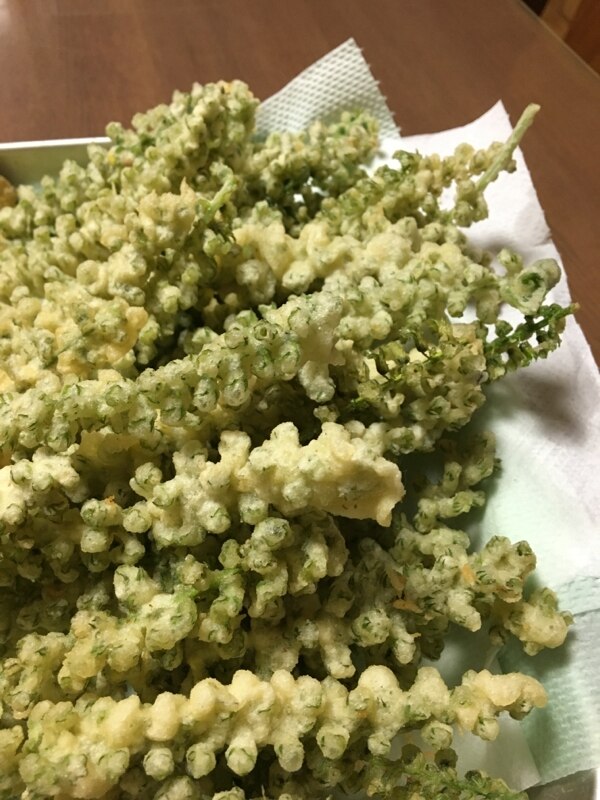 シソの穂の天ぷら レシピ 作り方 By 中国嫁19 楽天レシピ シソの穂の天ぷら レシピ 作り方 By 中国嫁19 楽天レシピ