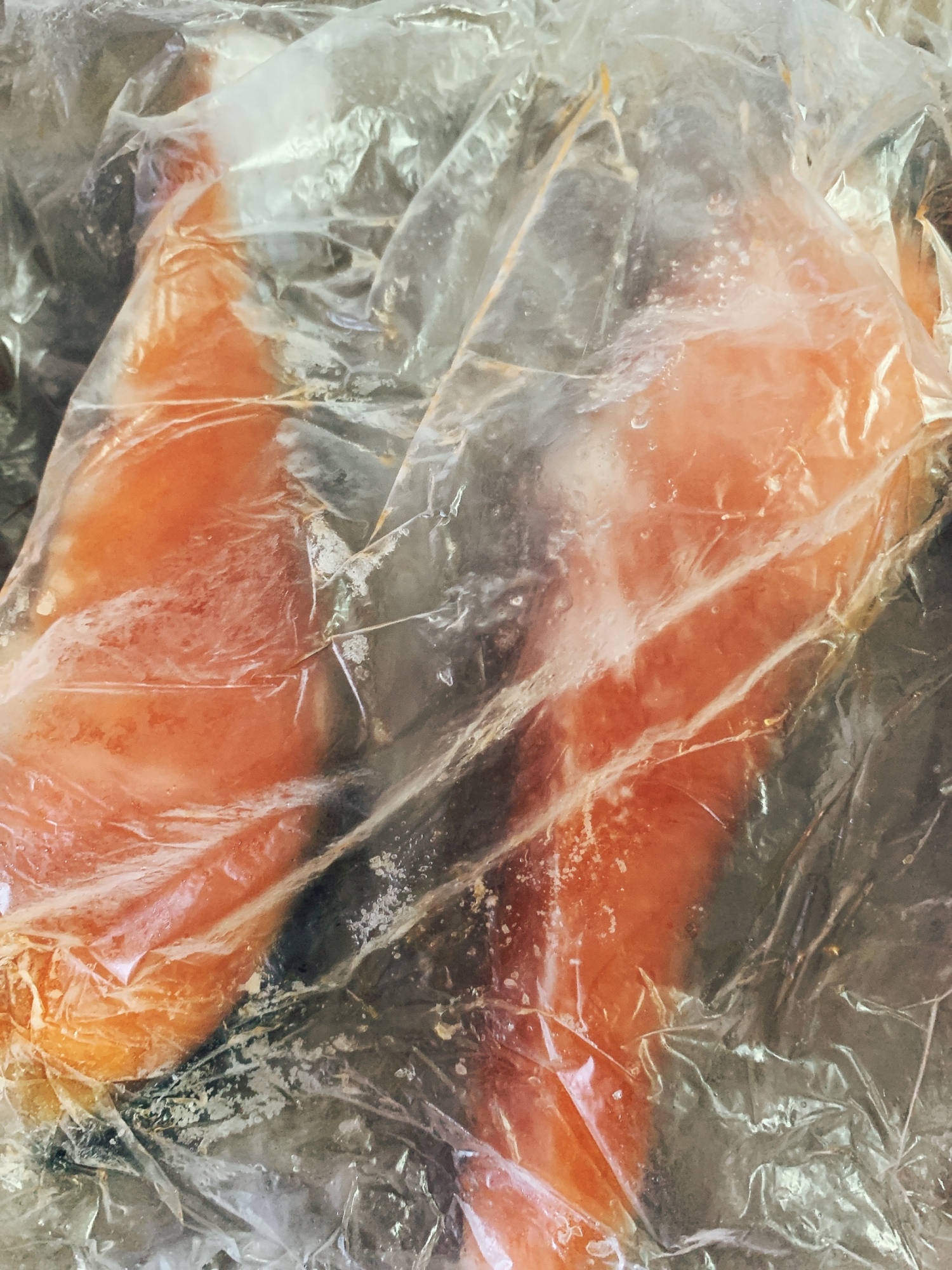 鮭の冷凍保存
