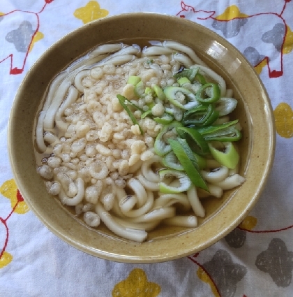 ネギたぬきうどん