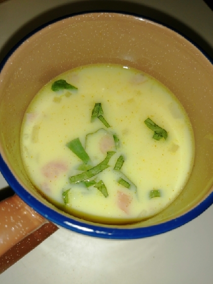 2日目カレーDEカレー味噌スープ