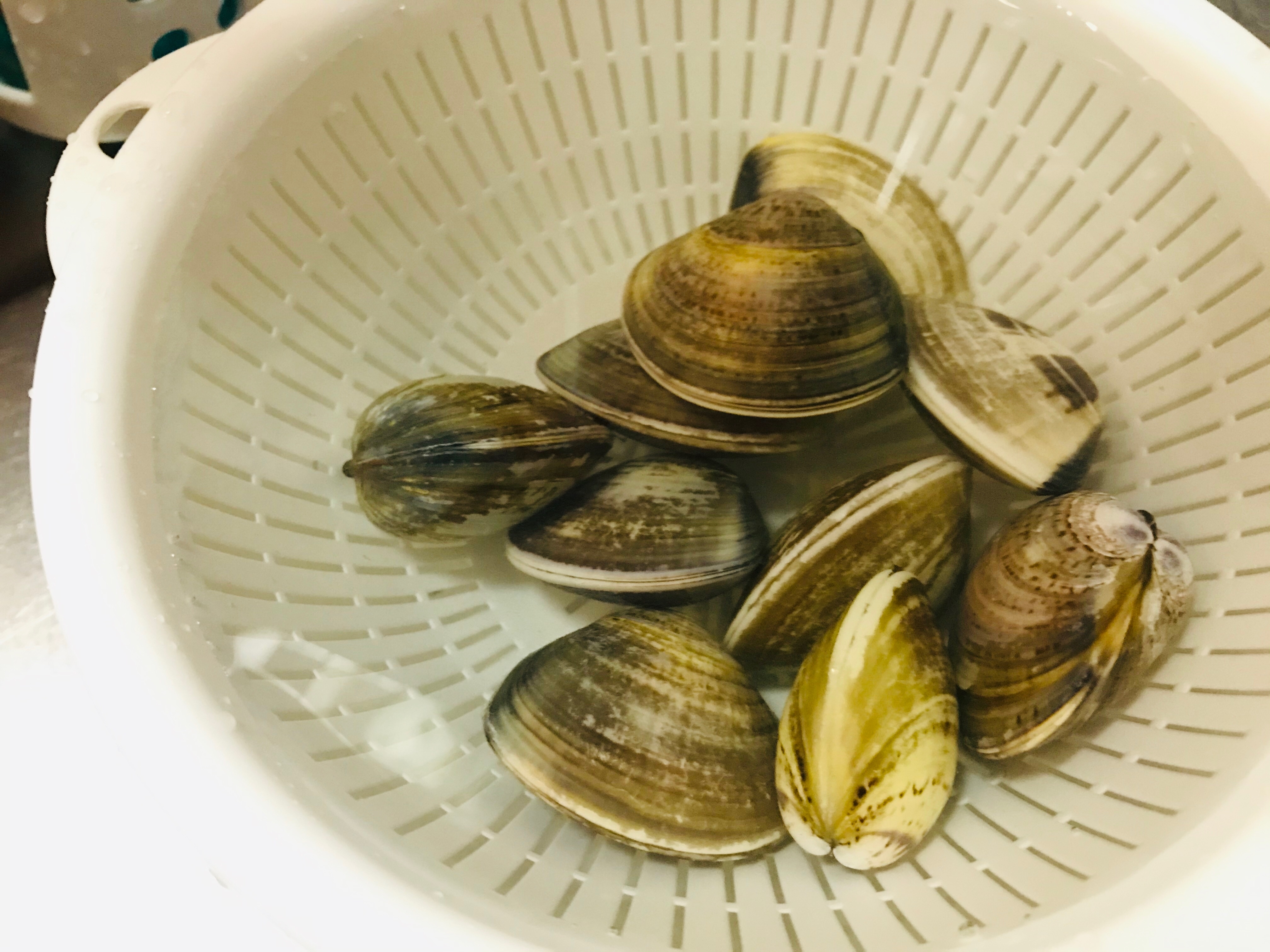 低糖質 絶品はまぐりのにんにくバター蒸し レシピ 作り方 By Maki Miki 楽天レシピ 低糖質 絶品はまぐりのにんにくバター蒸し レシピ 作り方 By Maki Miki 楽天レシピ