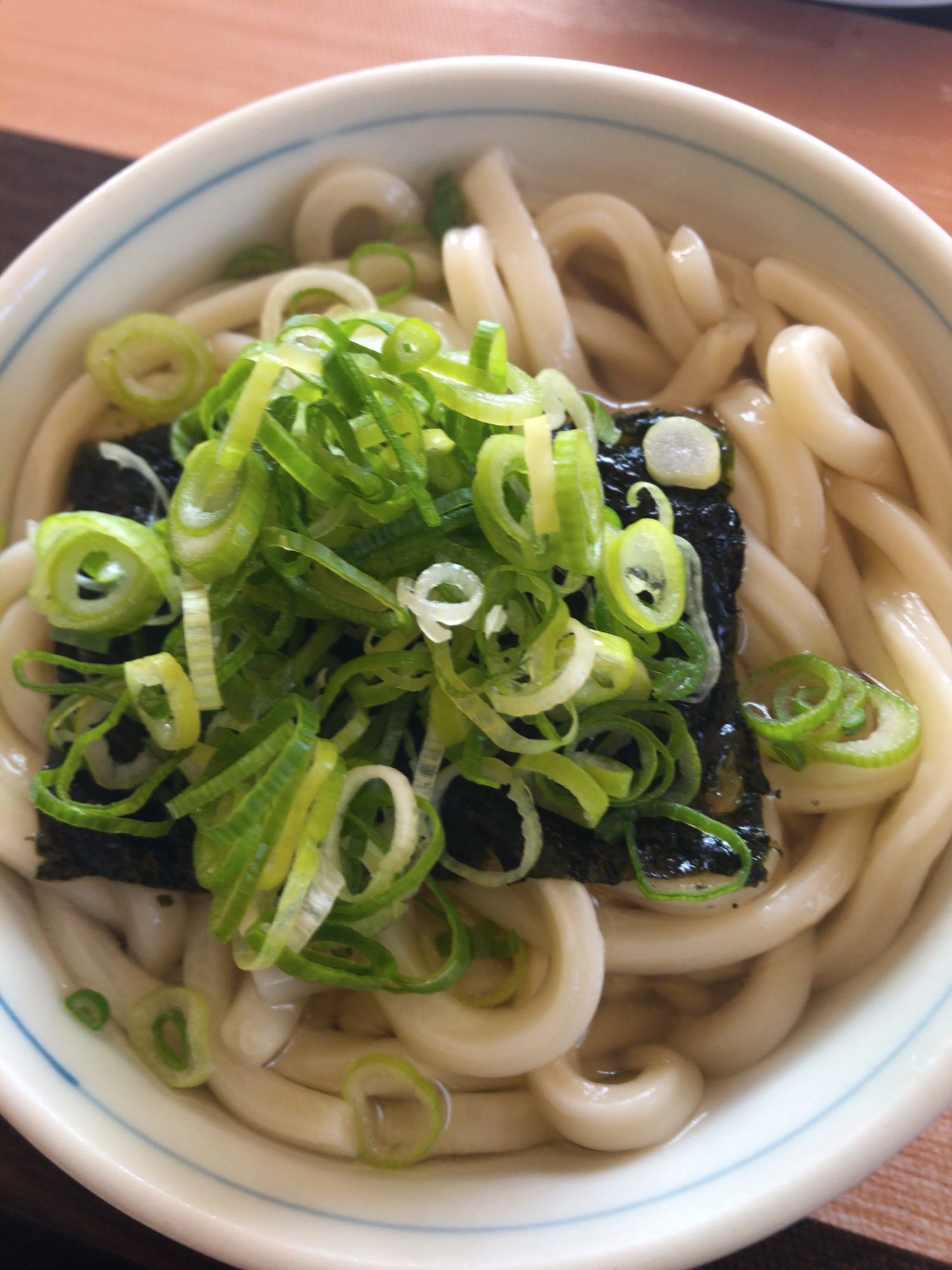 海苔とネギのぶっかけうどん