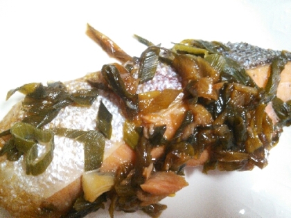 【栄養美人肌】鮭とネギの簡単めんつゆ煮