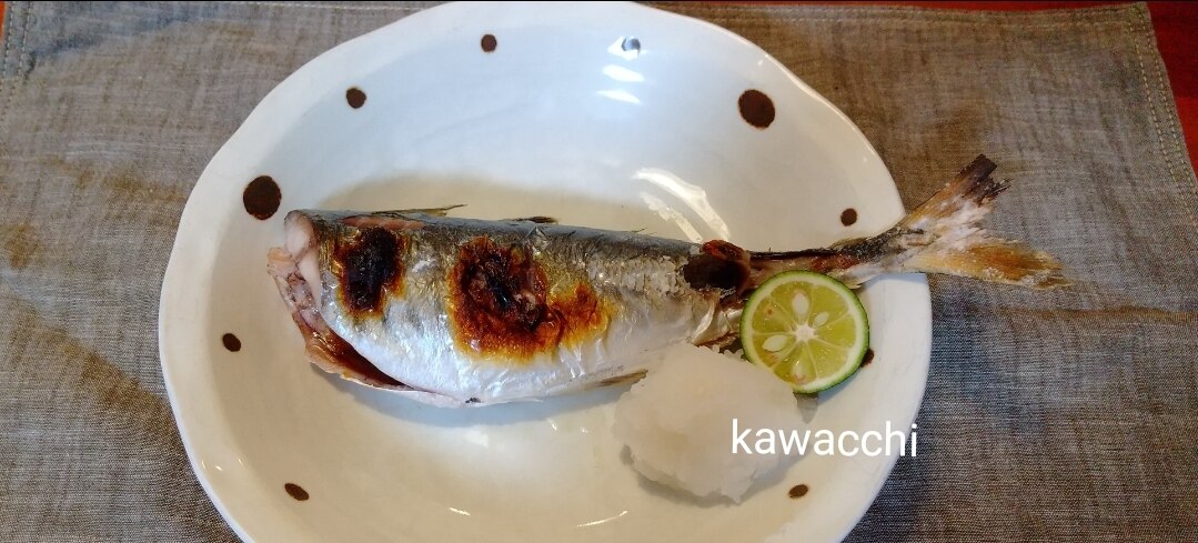 簡単 まるあじの塩焼き レシピ 作り方 By Kawacchi 楽天レシピ 簡単 まるあじの塩焼き レシピ 作り方 By Kawacchi 楽天レシピ