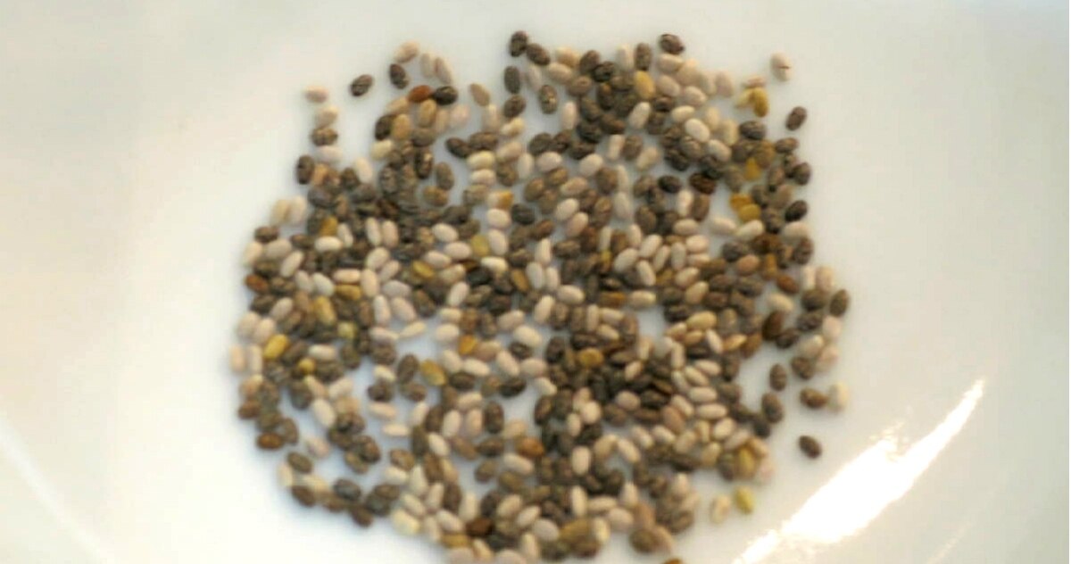 チアシードの中で1番オススメ ホワイトチアシードダイエット とは デイリシャス 楽天レシピ