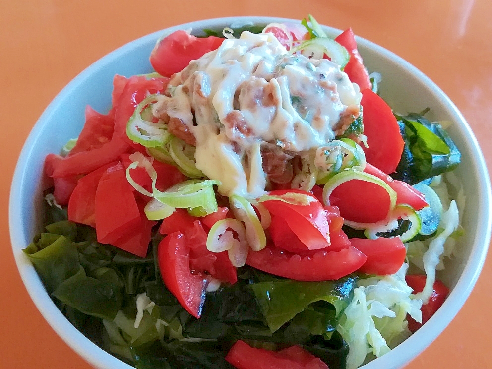 野菜たっぷり！サラダうどん