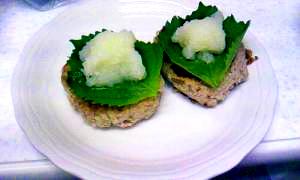 おからでおろしハンバーグ♪