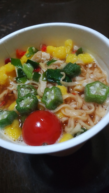 チキンラーメン 炒めた夏野菜たっぷりのせて