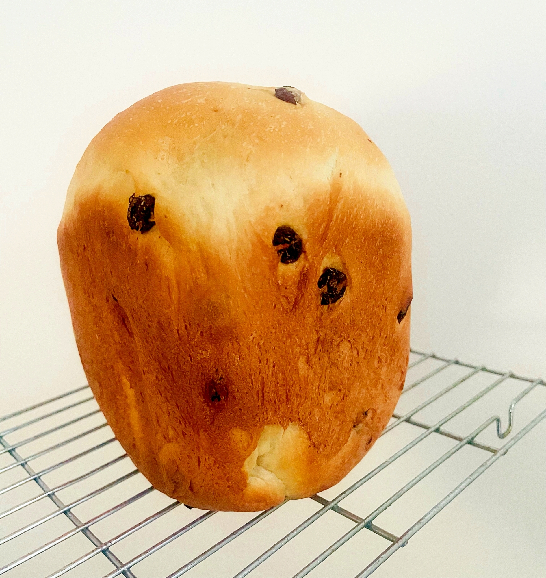 HBでレーズンとヨーグルトの食パン