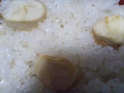 美味しかったです♪