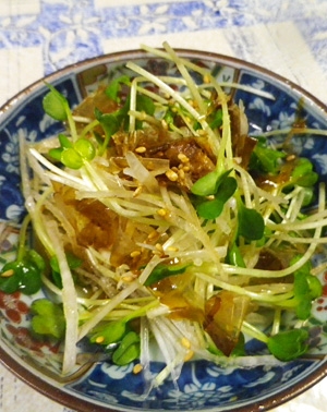大根とカイワレ大根のおかか生姜サラダ