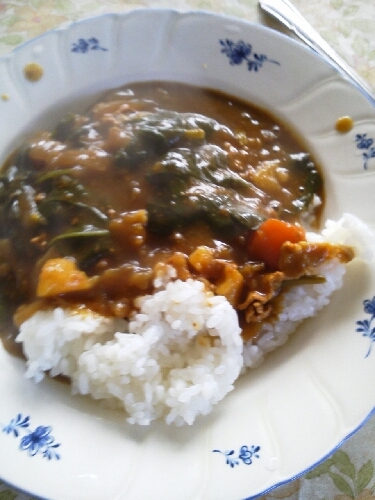 妊婦さんに 豚肉とほうれん草のカレー レシピ 作り方 By へんてこぽこりんママ 楽天レシピ