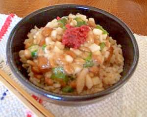 ねばねばサッパリ★納豆長芋丼