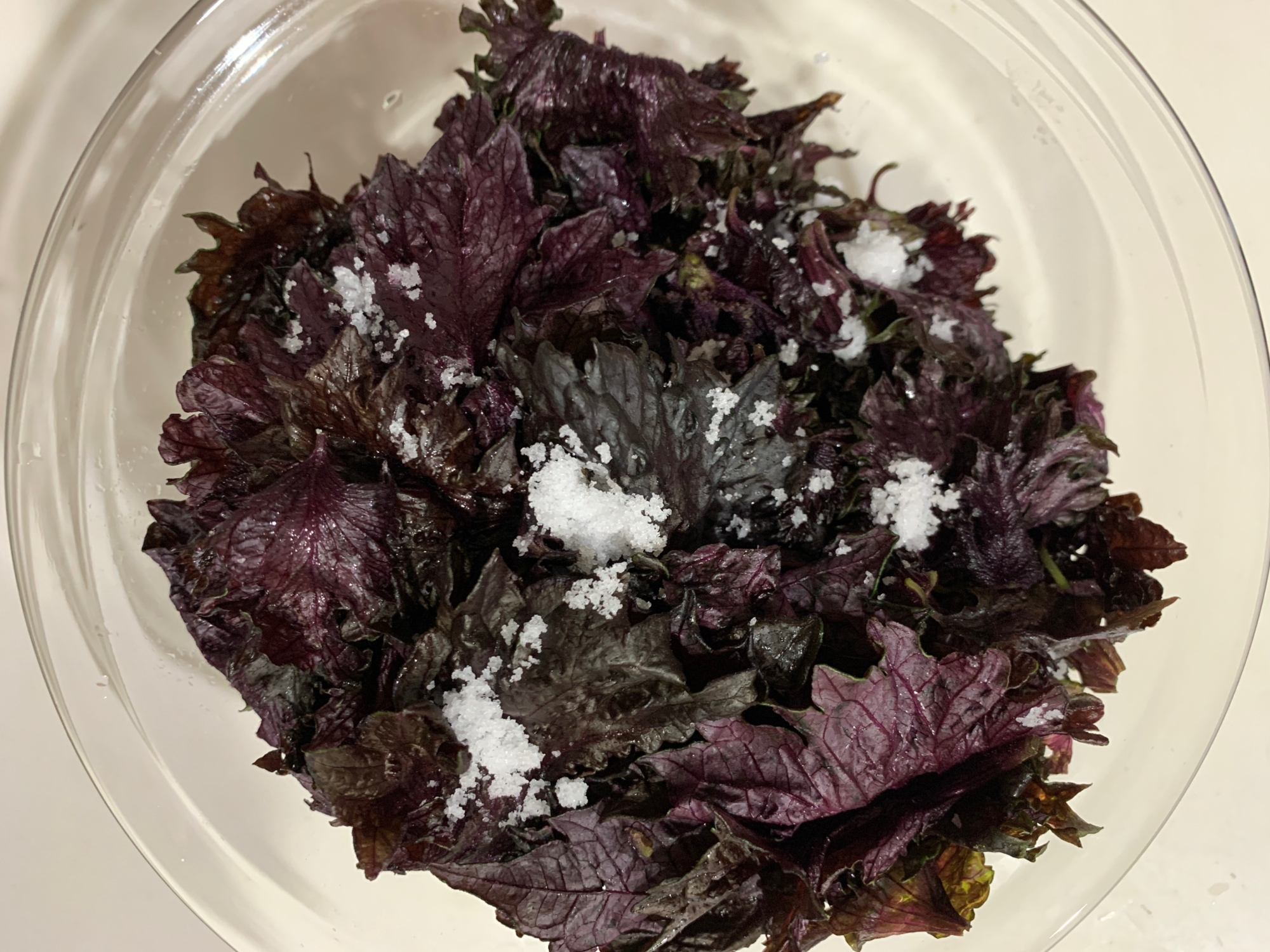 梅仕事 梅干し作りに使う赤紫蘇の下処理の方法 レシピ 作り方 By ポンポネ 楽天レシピ 梅仕事 梅干し作りに使う赤紫蘇の下処理の方法 レシピ 作り方 By ポンポネ 楽天レシピ