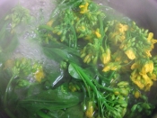 菜の花の辛し和え レシピ 作り方 By Iihi009 楽天レシピ