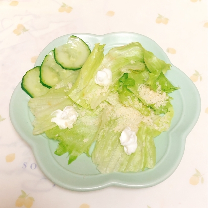 レタスde簡単イタリアン風サラダ