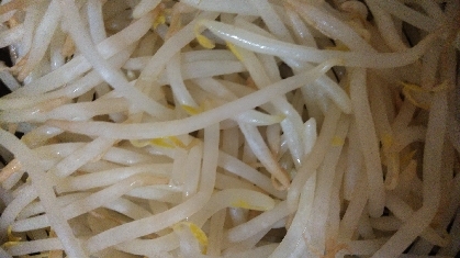 電子レンジで もやしの下処理 保存方法 レシピ 作り方 By Acchan66 楽天レシピ