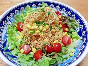 皿うどんのパリパリ麺を使った、パリ麺サラダ。