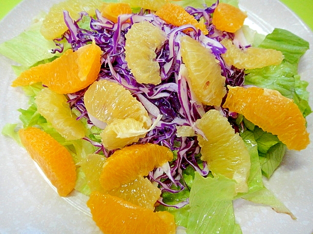 河内晩柑とオレンジ紫キャベツのサラダ