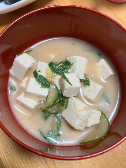 シャッキシャキッ！ひんやり爽やか～うちの冷や汁～