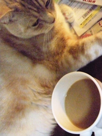 こんばんは～ヾ(´^ω^)ノ♪
ドリップコーヒーだけどスキムミルクたっぷりでミルキーカフェオレの完成♡今日もデブニャンコをモフりながら美味しく頂きましたよ～♪笑