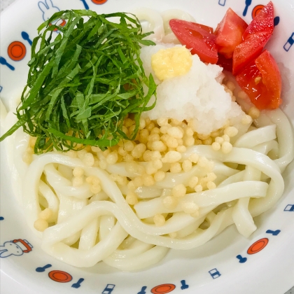 薬味たっぷりぶっかけうどん☆