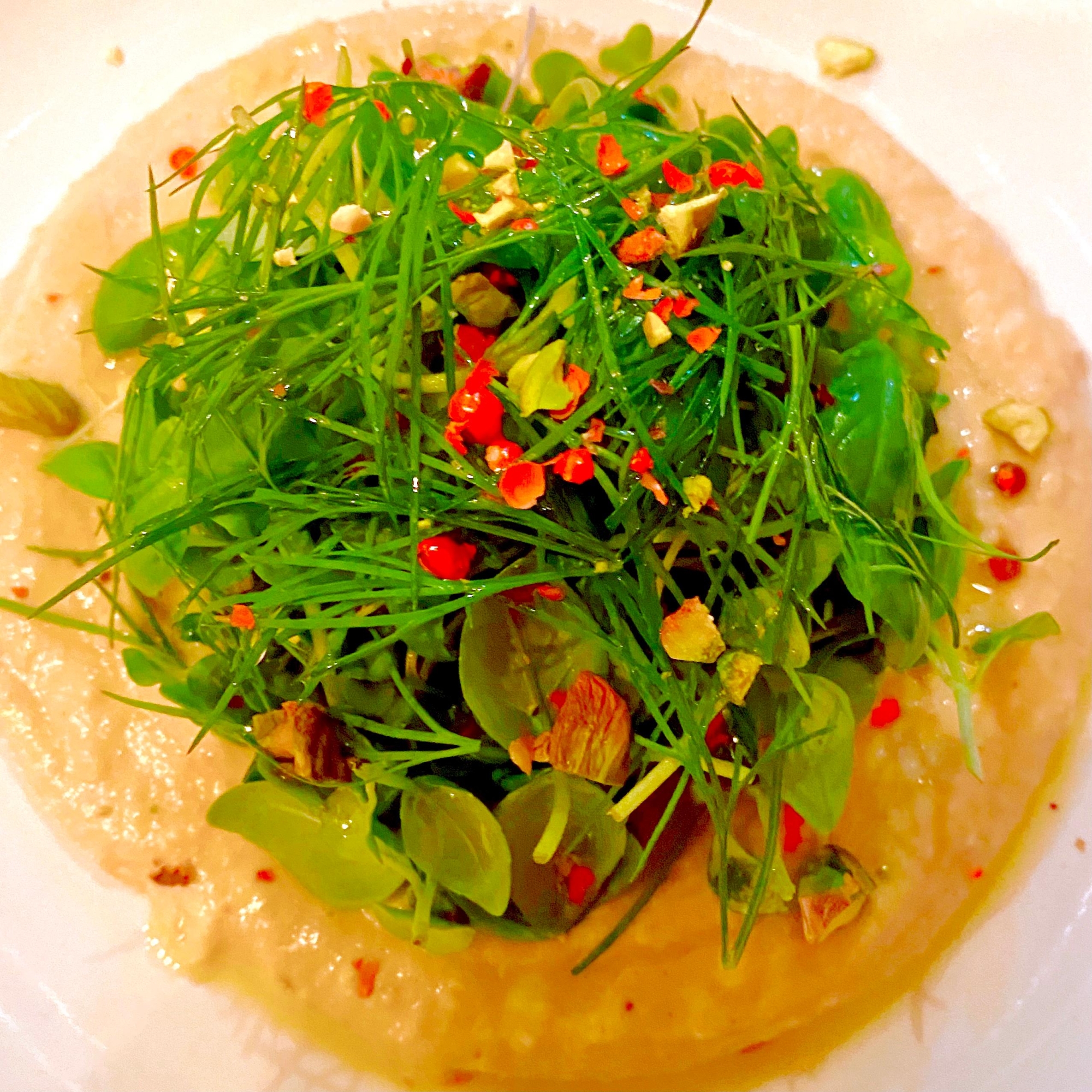 フムスとハーブのサラダ レシピ 作り方 By ゆうき 地中海料理シェフ 楽天レシピ フムスとハーブのサラダ レシピ 作り方 By ゆうき 地中海料理シェフ 楽天レシピ