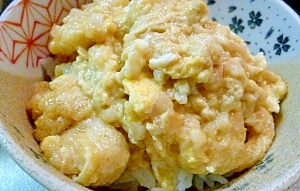 天かす油揚げ丼