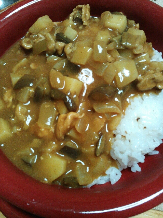 なすと玉ねぎとじゃがいもと豚肉カレー