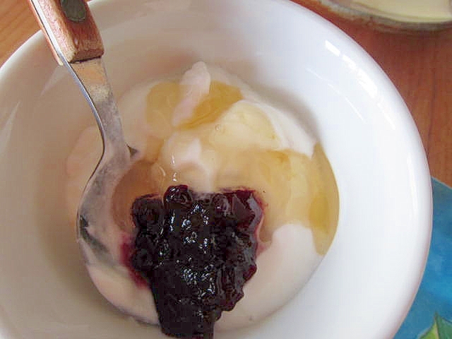 ブルーベリージャムと蜂蜜ヨーグルト レシピ 作り方 By Skip Right 楽天レシピ ブルーベリージャムと蜂蜜ヨーグルト レシピ 作り方 By Skip Right 楽天レシピ